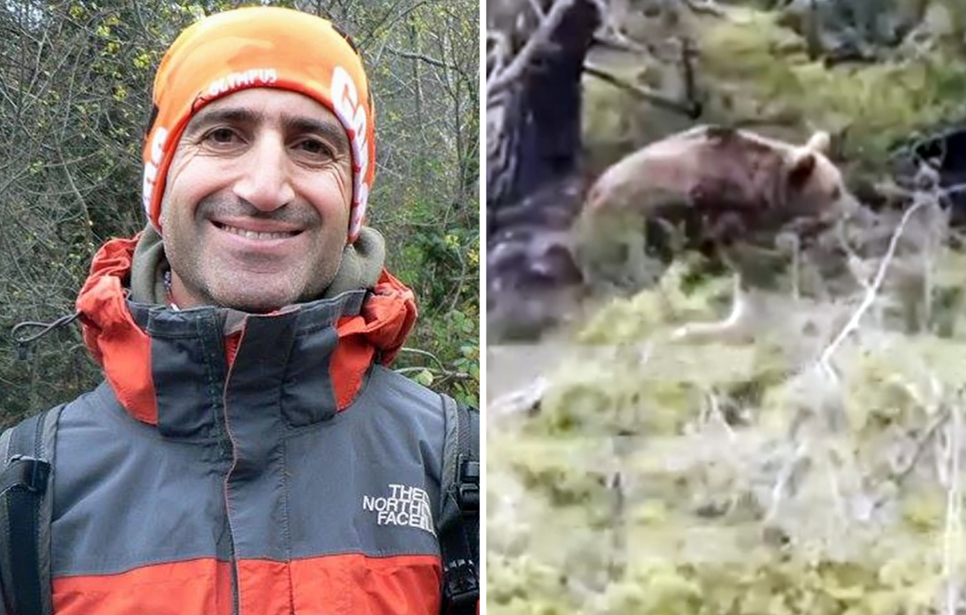 Νέες αποκαλύψεις για τον θάνατο ορειβάτη από αρκούδα – «Τα ζώα έχουν αρνητική εμπειρία με τον άνθρωπο, θα επιτεθούν ξανά»