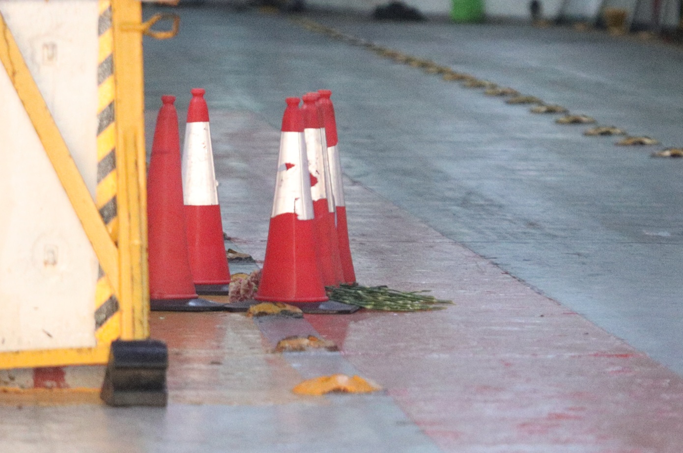 Τι εκμυστηρεύτηκε σε φίλο του ο 20χρονος Τάσος πριν το τραγικό του τέλος – Η μοιραία πόρτα του πλοίου που τον σκότωσε;