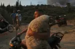 «Ο ευγενικός ποιμένας της Αχαΐας»: Η συγκλονιστική διάσωση του προβάτου στις καλύτερες φωτογραφίες του 2025 από το BBC