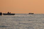 Το Υπουργείο Αγροτικής Ανάπτυξης περιορίζει την ανεξέλεγκτη αλιεία – Εφαρμόζεται το πρωτοποριακό Σύστημα Παρακολούθησης