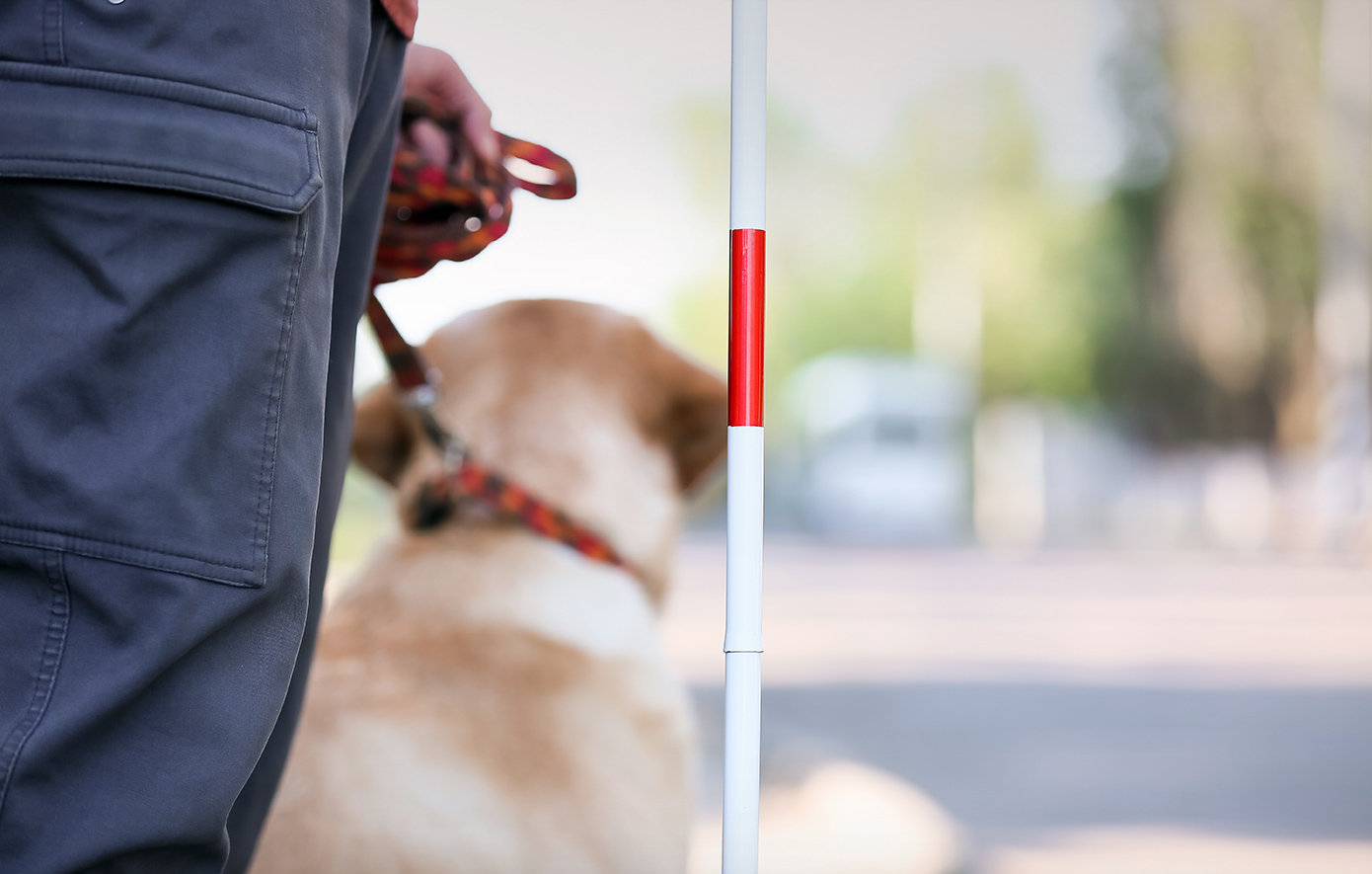 Πάρης Ορφανός για τον ταξιτζή που αρνήθηκε μεταφορά σε Παραολυμπιονίκη, εξαιτίας του σκύλου οδηγού της: «Θα αντιμετωπίσει τις συνέπειες»