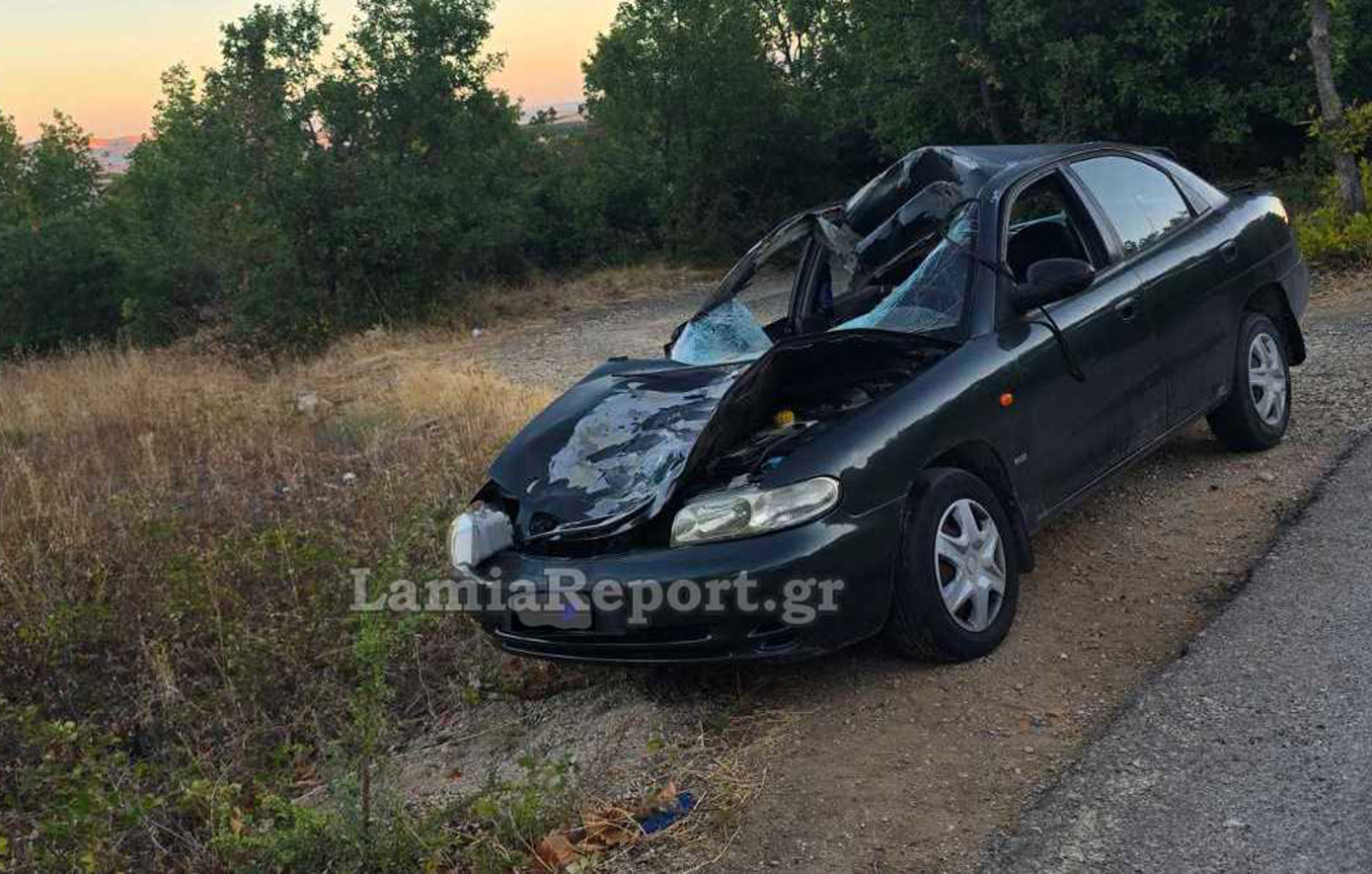 Αυτοκίνητο χτύπησε αγελάδα στη Φθιώτιδα – Σοβαρός τραυματισμός γυναίκας