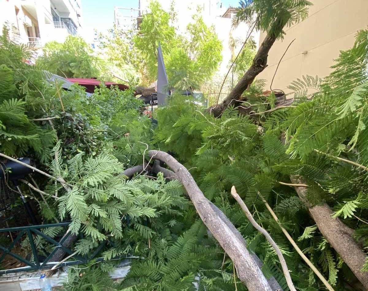 Ο Δήμος Αθηναίων για πτώση δέντρων και προειδοποίηση ισχυρών ανέμων