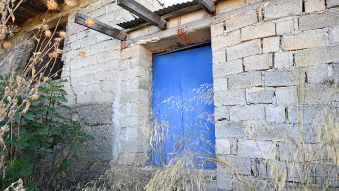Αποκαλύψεις για την 62χρονη που έκρυψε τη μητέρα της σε στάβλο – Οι αντιφάσεις και οι πρόσφατες εξετάσεις της ηλικιωμένης
