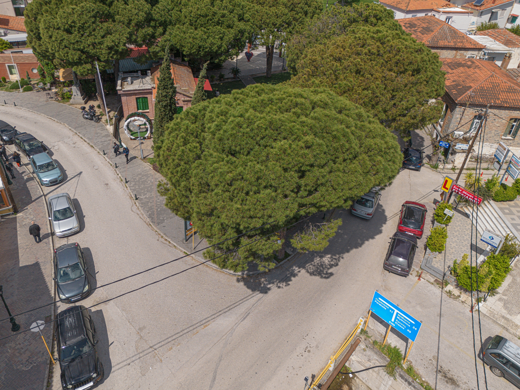 Δ. Δυτικής Λέσβου: Αρχίζει η αναμόρφωση του πάρκου “Βασιλειάδη”