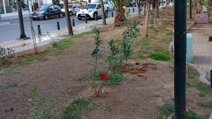 150 νέες φυτεύσεις στο Πάρκο Καραολή και Δημητρίου στον Δήμο Βύρωνα