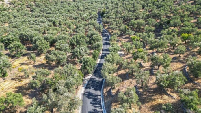 Δ.Μυτιλήνης: Ολοκληρώθηκαν τα έργα ασφαλτόστρωσης στην περιοχή Τάρτι της Δ.Ε. Γέρας