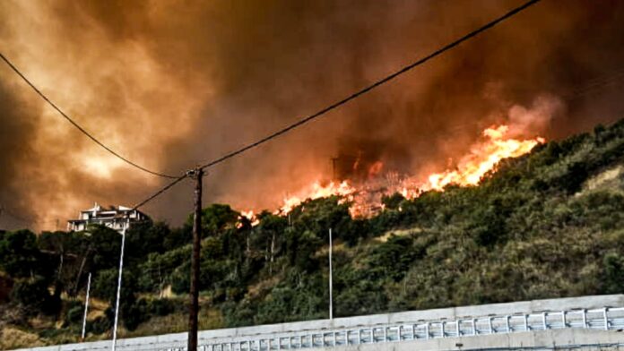 Φρέσκες αποφάσεις για τους πυρόπληκτους του καλοκαιριού 2025: ΚΥΑ για ενίσχυση και καθορισμό περιοχών