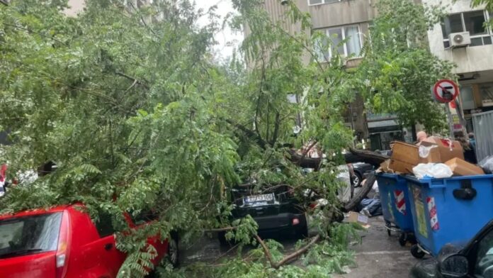 Κακοκαιρία στην Εμμανουήλ Μπενάκη: Δέντρο έπεσε στον δρόμο, τραυματίζοντας περαστικό