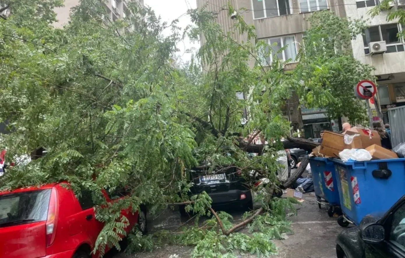 Κακοκαιρία στην Εμμανουήλ Μπενάκη: Δέντρο έπεσε στον δρόμο, τραυματίζοντας περαστικό