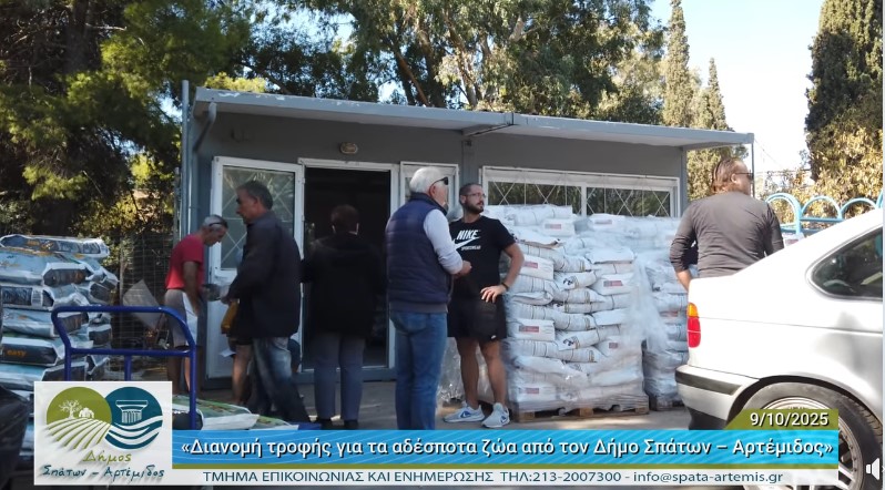 Δήμος Σπάτων – Αρτέμιδος: Παροχή ξηρής τροφής για αδέσποτα ζώα