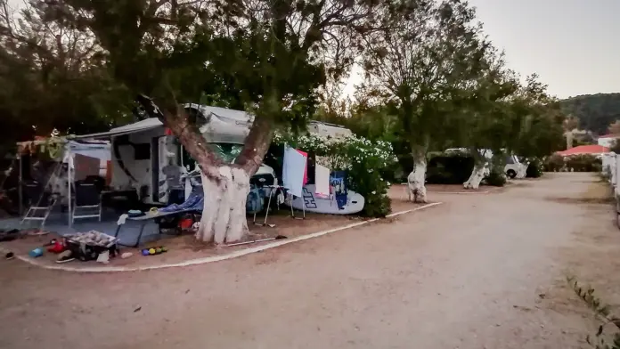 Αυτιστικός 22χρονος κατηγορούμενος για συνεργία στο διπλό φονικό στη Μεσσηνία – Είχε κάνει χρήση ναρκωτικών