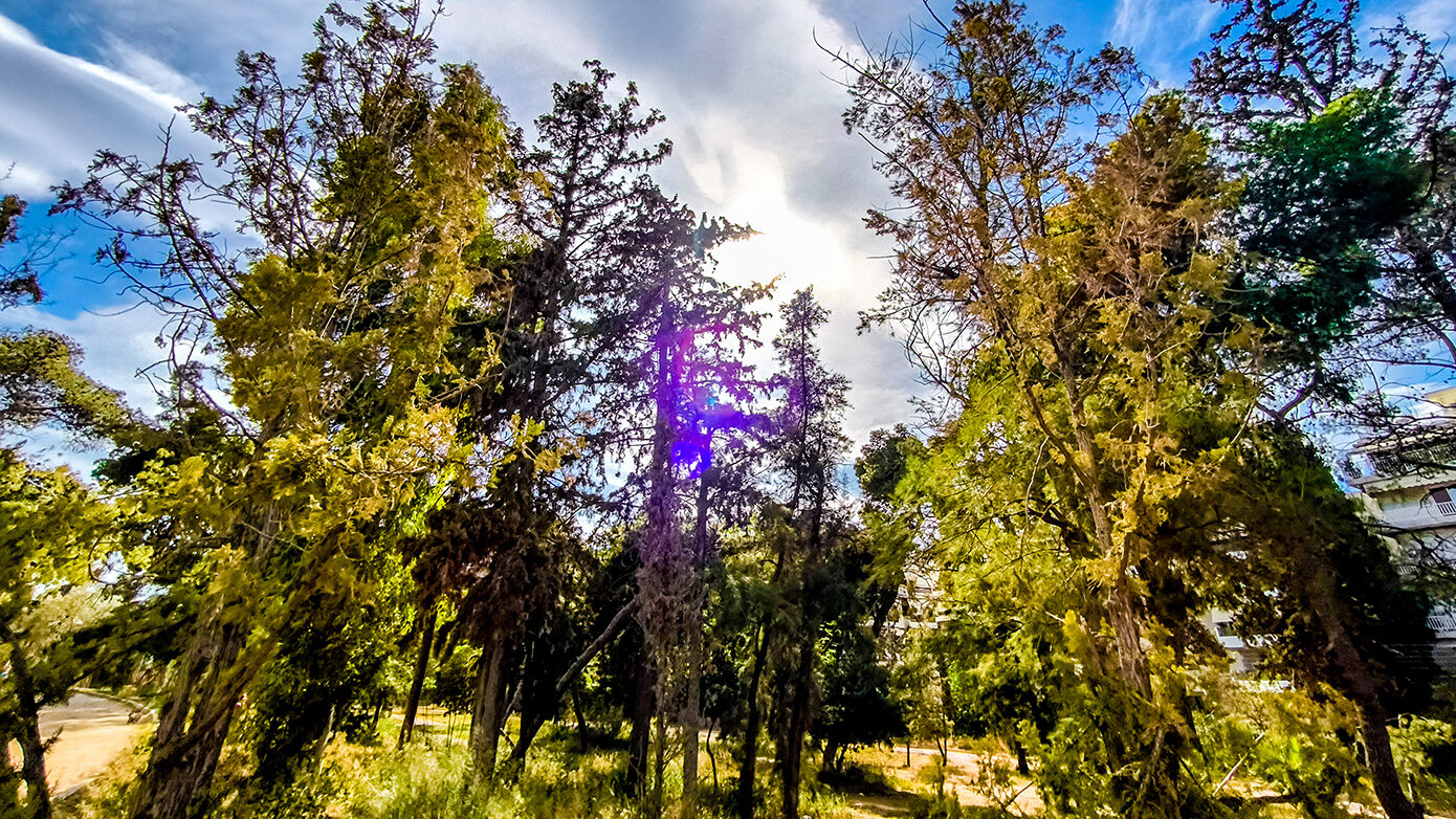Καιρική πρόγνωση για σήμερα 14/10/2025