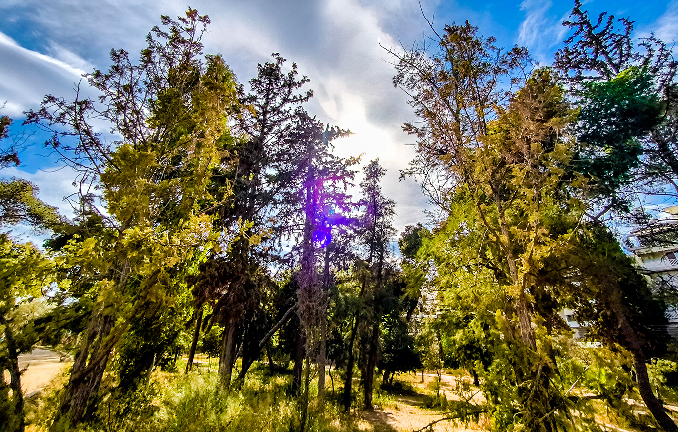 Καιρική πρόγνωση για σήμερα 14/10/2025