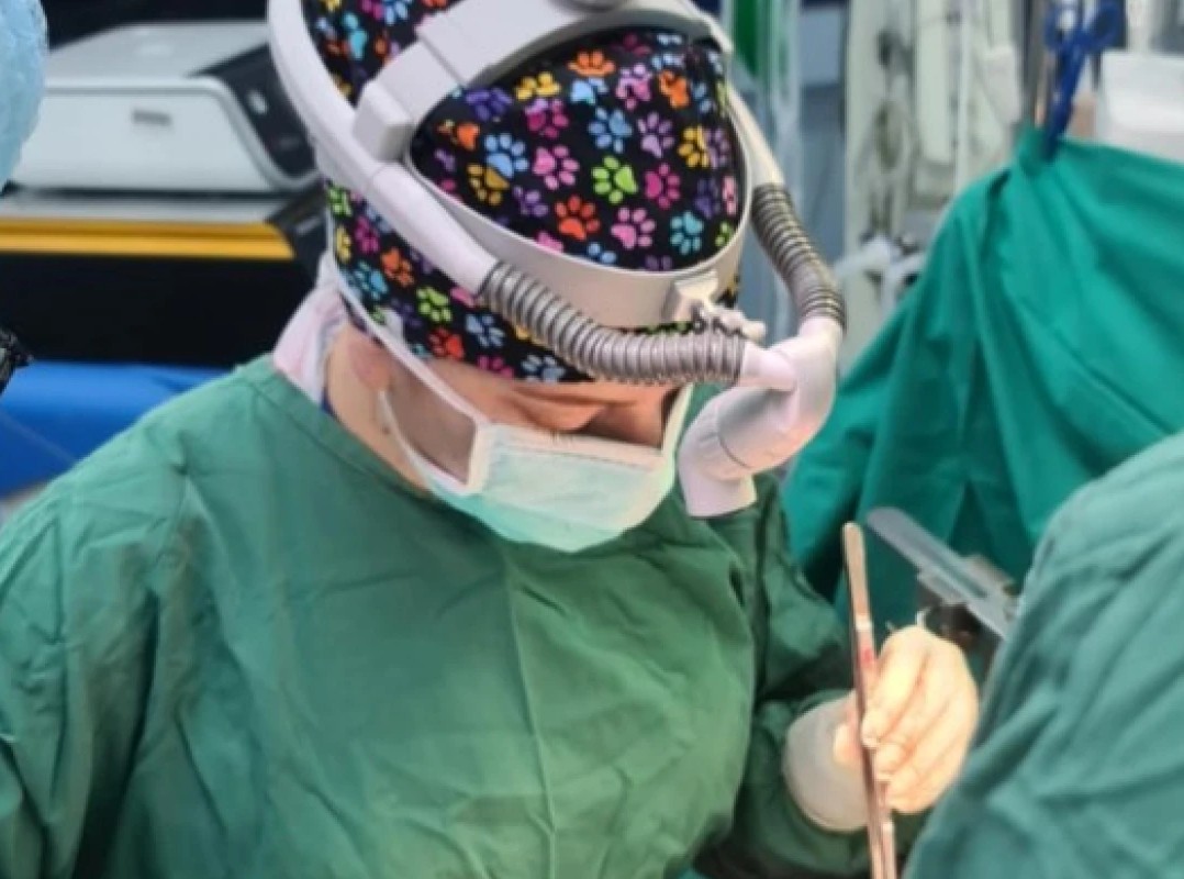 Κωνσταντίνα Ελένη Καρακάση, η πρωτοπόρος γυναίκα χειρουργός μεταμοσχεύσεων ήπατος στην Ελλάδα