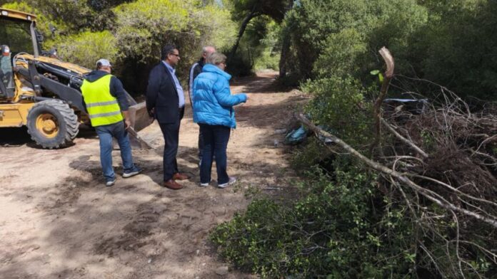 Εκστρατεία Καθαρισμού στο Δάσος Στροφυλιάς από τον Δήμο Ανδραβίδας-Κυλλήνης
