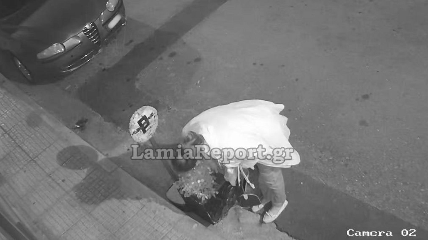 Εκπληκτική ληστεία στη Λαμία: Έκλεψε μόλις φυτεμένα λουλούδια – Ήταν και… «σχεδιασμένη»