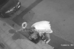 Εκπληκτική ληστεία στη Λαμία: Έκλεψε μόλις φυτεμένα λουλούδια – Ήταν και… «σχεδιασμένη»