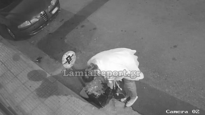 Εκπληκτική ληστεία στη Λαμία: Έκλεψε μόλις φυτεμένα λουλούδια – Ήταν και… «σχεδιασμένη»