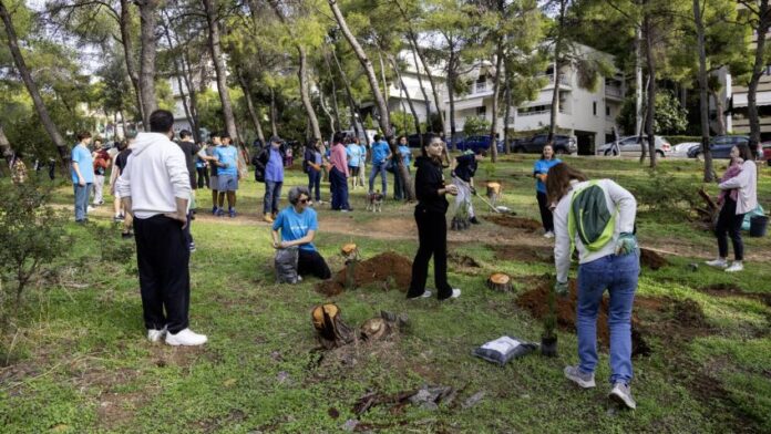 Εντυπωσιακή προσέλευση στη δενδροφύτευση στη Νέα Λέσβο Αμαρουσίου