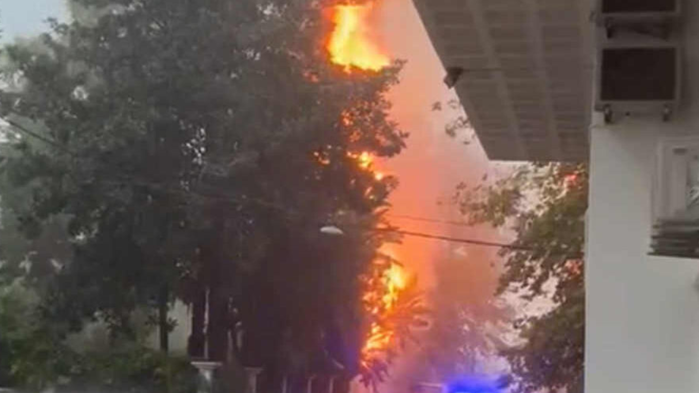 Κακοκαιρία στη Ναύπακτο: Κεραυνός πυρπόλησε δέντρο