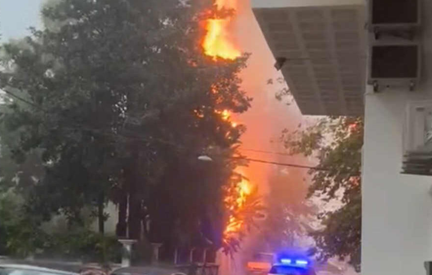 Κακοκαιρία στη Ναύπακτο: Κεραυνός πυρπόλησε δέντρο