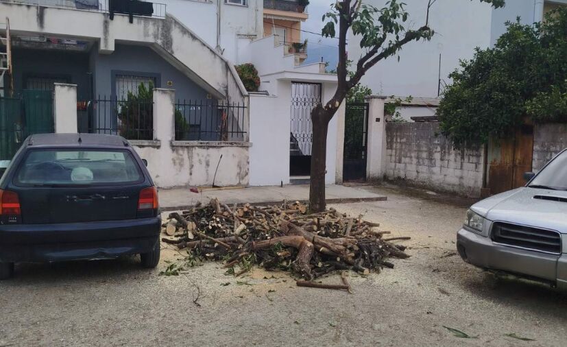 Μήνυση για παράνομη κοπή δέντρων από τον Δήμο Πατρέων