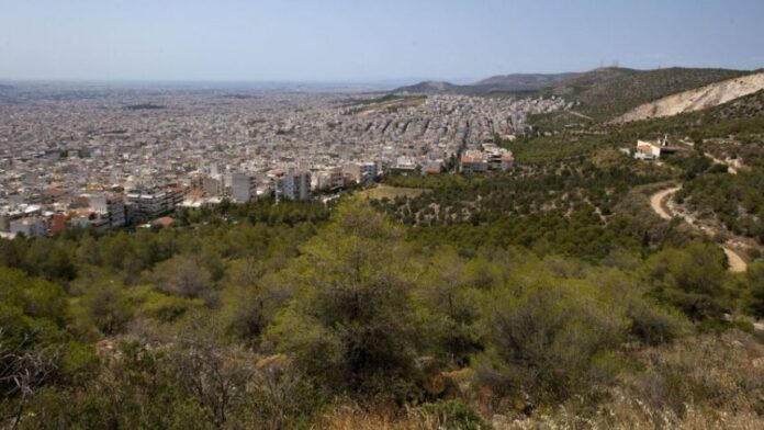Ο Δ. Πετρούπολης για την παρουσία αγριογούρουνων στον αστικό ιστό