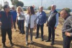 Π. Τατούλης: «Άμεση απογραφή και επιδιόρθωση των ζημιών στον Δ. Τριφυλίας»