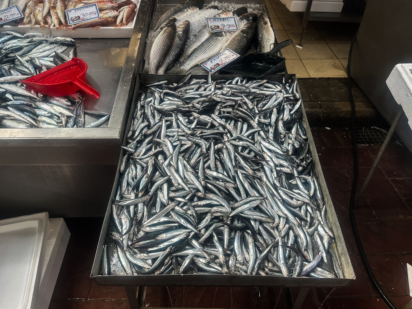 Αυξήσεις και στα ψάρια – Αντιδράσεις από τους καταναλωτές – Πόσο πωλούνται το κιλό