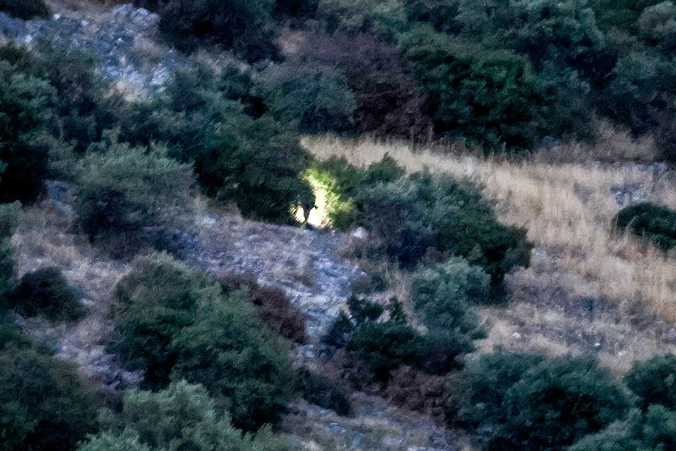 Αφέθηκαν ελεύθερα με περιοριστικούς όρους τα δύο αδέλφια που αναζητούσαν λίρες με τον 53χρονο που πέθανε σε σπηλιά στη Λάρισα