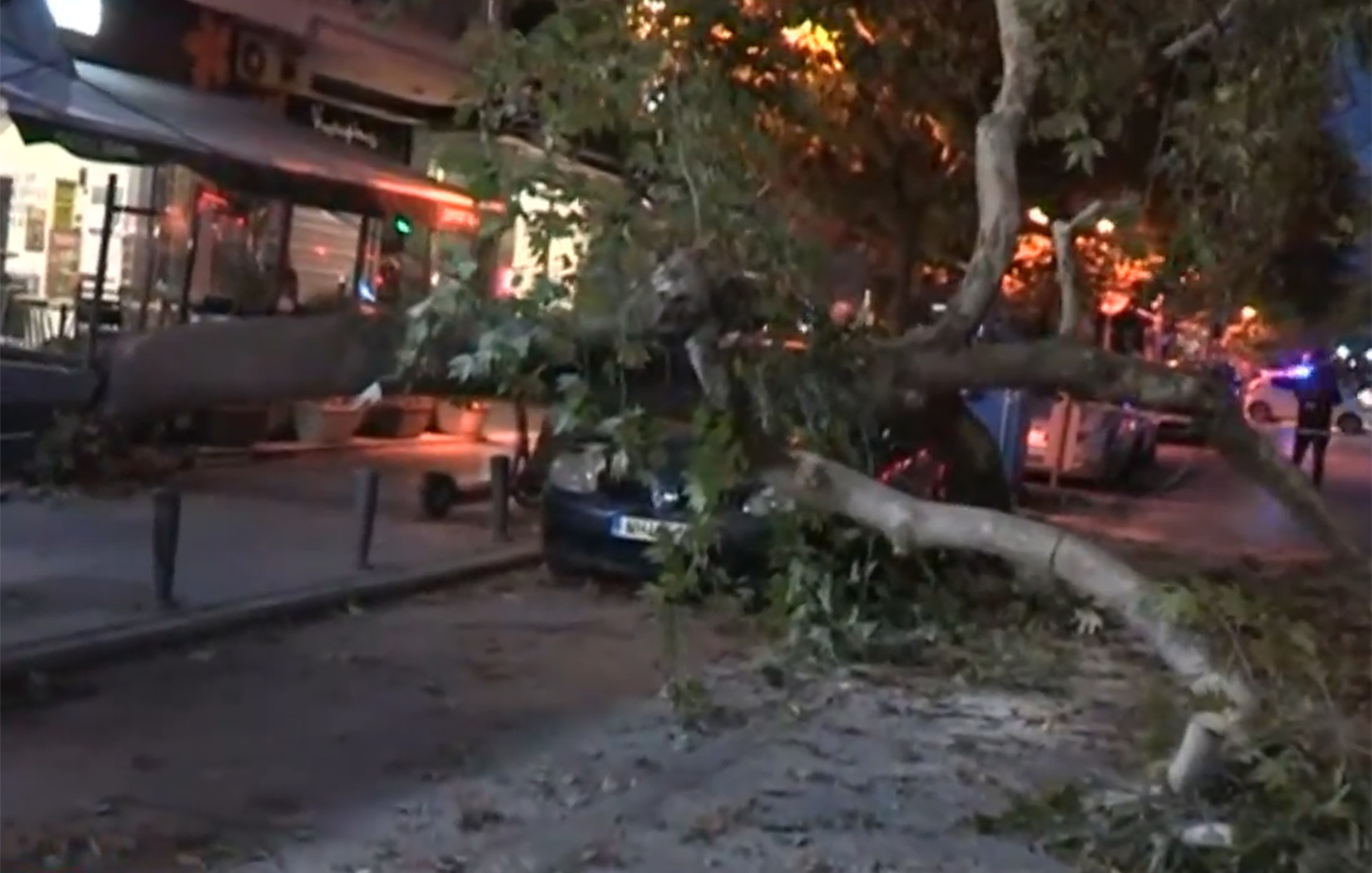 Συναγερμός για πτώση δέντρου σε σταθμευμένο όχημα στη Θεσσαλονίκη – Κλειστό το ρεύμα προς Κωνσταντινουπολίτικα