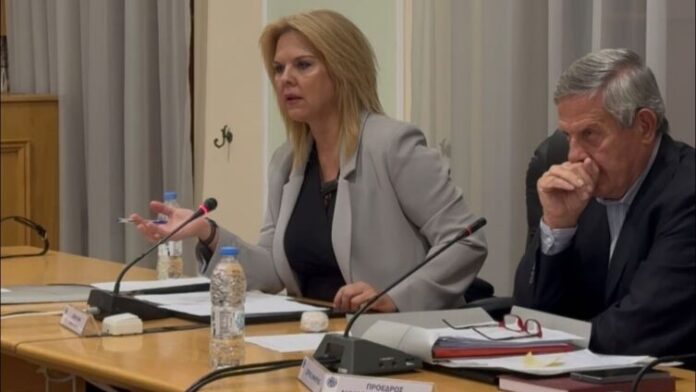 Η δημιουργία Πανεπιστημίου Στερεάς Ελλάδας στο Δημοτικό Συμβούλιο Χαλκιδέων