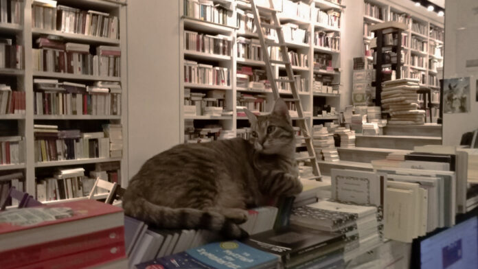 Τέλος εποχής για το ιστορικό βιβλιοπωλείο «Επί Λέξει» – «Διαβάστε και στηρίξτε τα μικρά μαγαζιά»