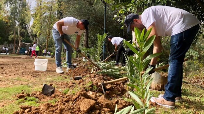 Φυτεύσεις ανανέωσης στο πάρκο Ρεματιάς από τον Δήμο Βριλησσίων