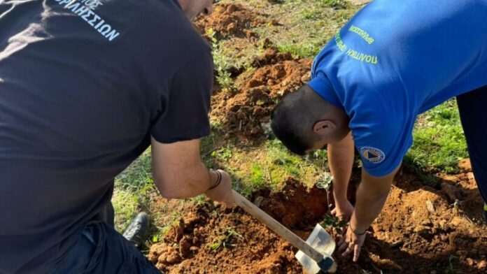 125 φρέσκες δενδροφυτεύσεις από τον Δήμο Βριλησσίων