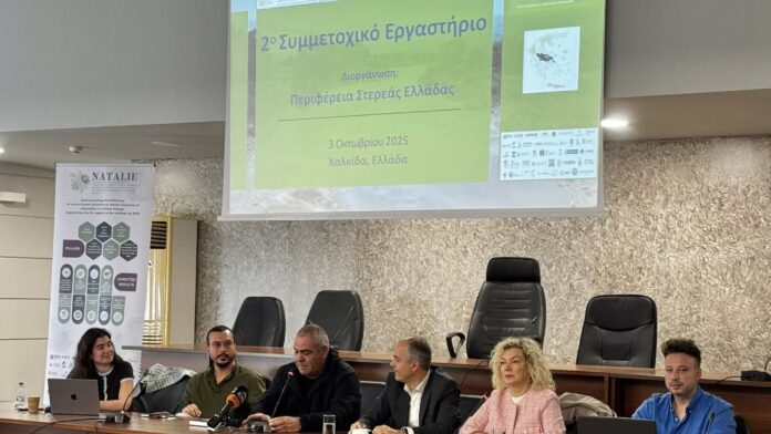 Ο Δήμος Χαλκιδέων στο δεύτερο συμμετοχικό εργαστήριο του προγράμματος “Horizon NATALIE”