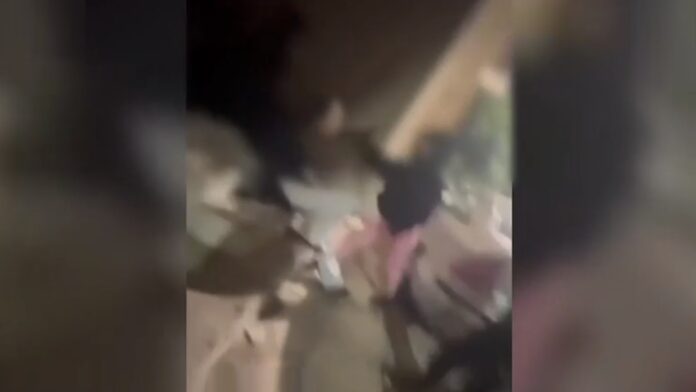 «Την χτυπούσαν, την έφτυναν» – Σοκαριστικό βίντεο ξυλοδαρμού 13χρονης από συνομήλικη για ένα αγόρι