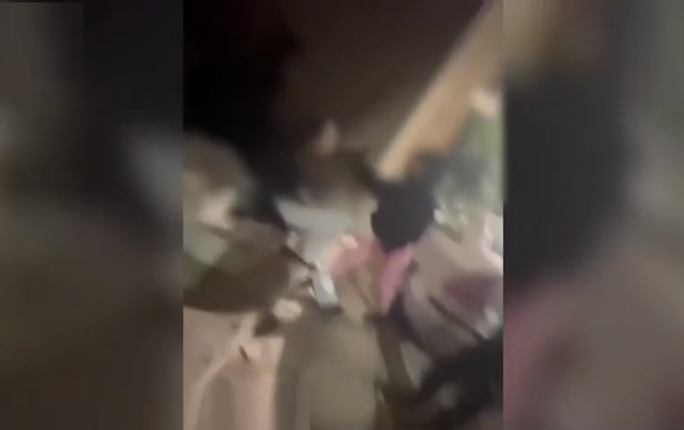 «Την χτυπούσαν, την έφτυναν» – Σοκαριστικό βίντεο ξυλοδαρμού 13χρονης από συνομήλικη για ένα αγόρι