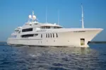 Γλέντια, σαμπάνιες και λαθρομετανάστες: Η κρυφή ζωή του Σύρου «εγκέφαλου» της Μυκόνου που συνελήφθη από τις Αρχές