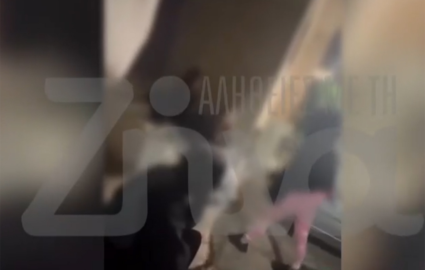 Σοκαριστικό βίντεο με επίθεση σε 13χρονη στο Περιστέρι λόγω αγοριού – «Δεν σου είπε κανείς ότι είναι πρώην της;»