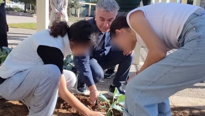Φρέσκος Σχολικός λαχανόκηπος στο 3ο Γυμνάσιο Ρέντη