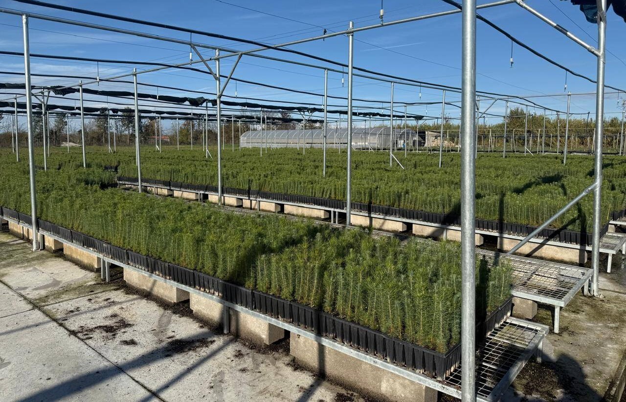 Το Φυτώριο του Δήμου Λαγκαδά εκσυγχρονίζεται και αποκτά νέα πνοή