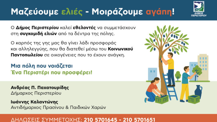 Δ.Περιστερίου: Πρόσκληση σε εθελοντές για τη συλλογή ελιών