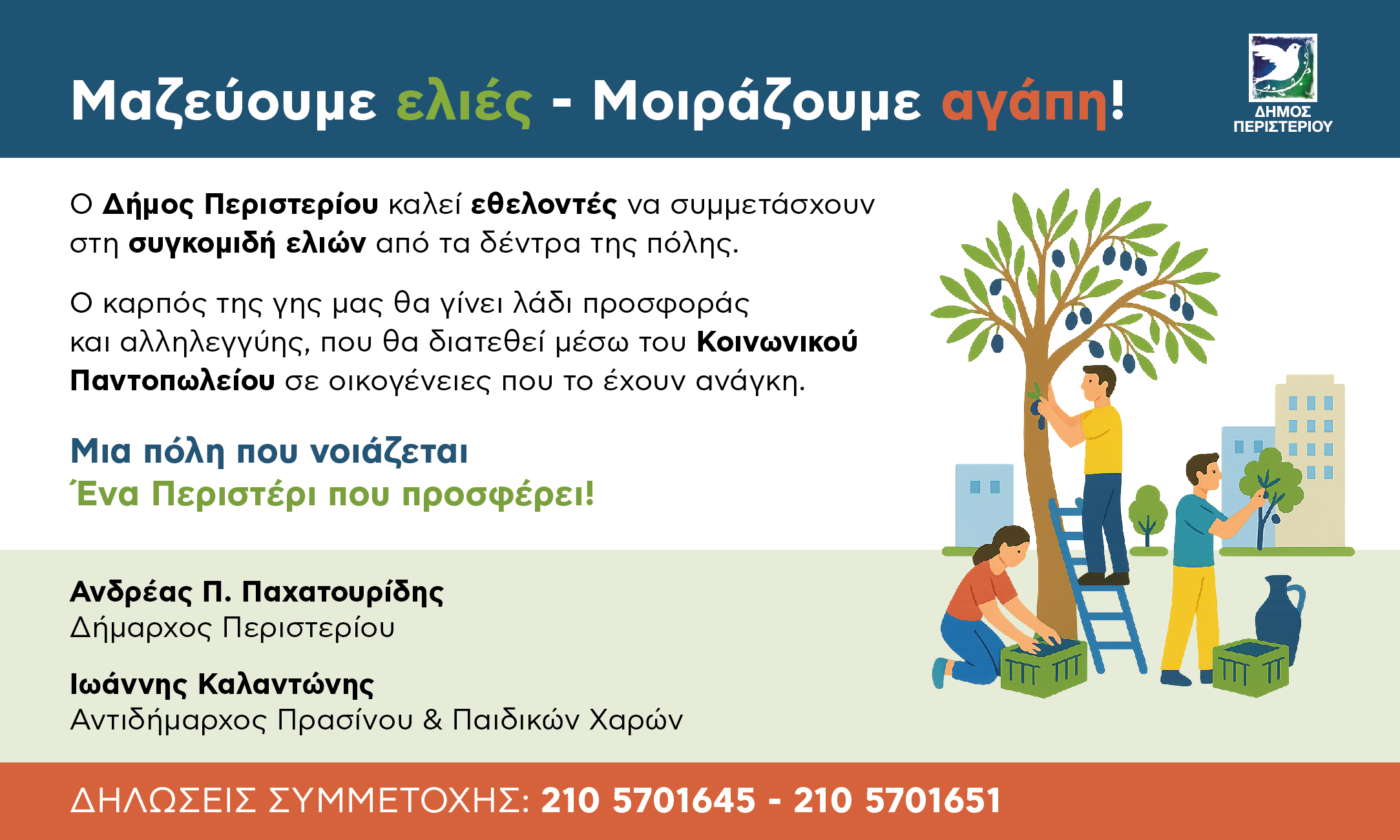 Δ.Περιστερίου: Πρόσκληση σε εθελοντές για τη συλλογή ελιών