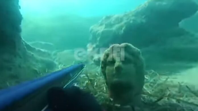 Καταπληκτικό βίντεο από το Ηράκλειο: Ψαροντουφεκάς ανακαλύπτει άγαλμα στον βυθό της θάλασσας