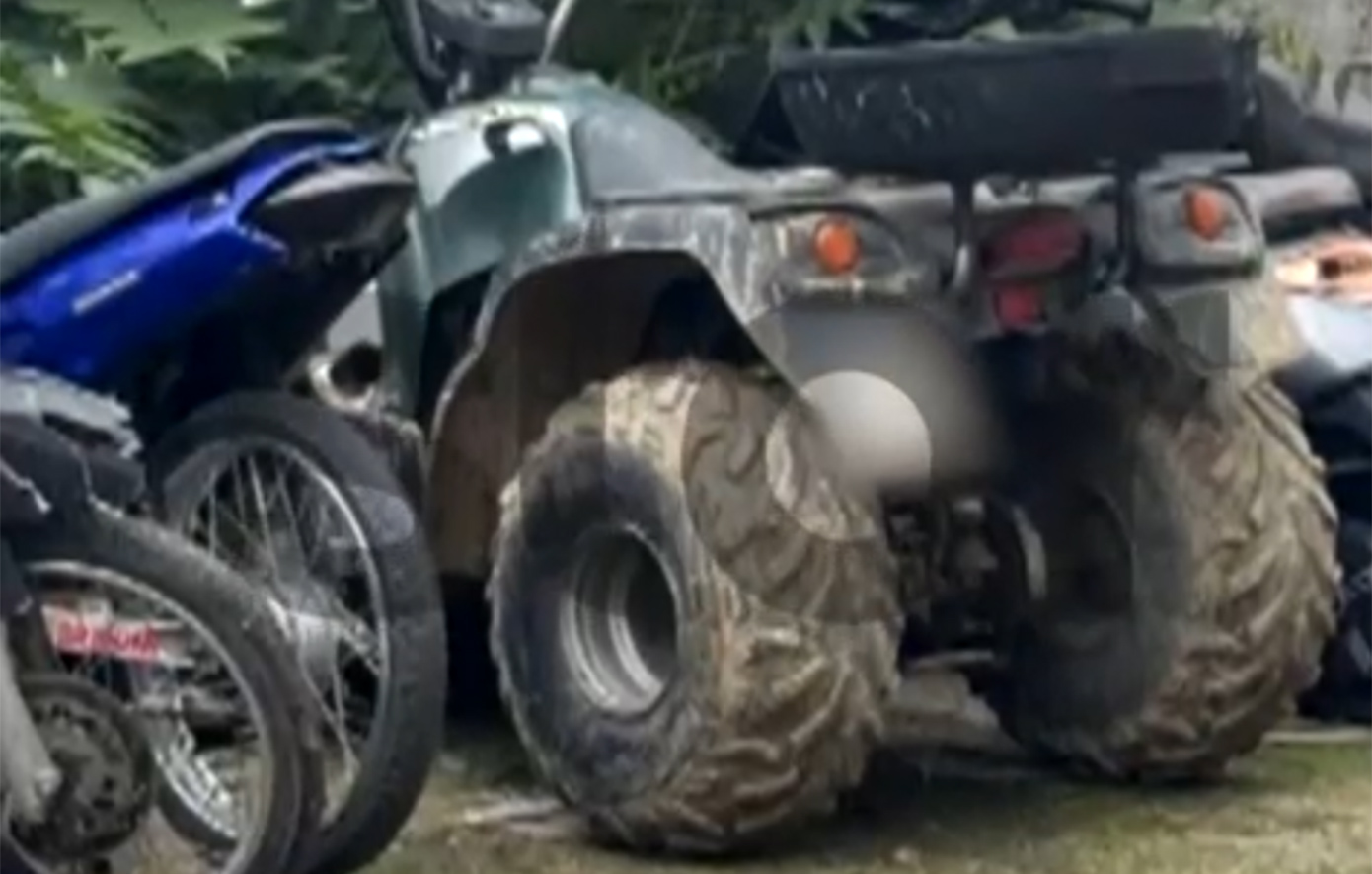 Αυτή η γουρούνα προκάλεσε την τραγωδία στην Αχαΐα με θύμα τον 3χρονο Ανδρέα – «Το είχε καταπλακώσει το παιδί»