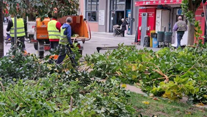 Εντατικές εργασίες κλαδέματος πρασίνου στον Δήμο Καλαμαριάς