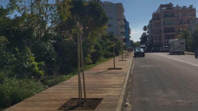 “Φύτευση και προμήθεια 300 επιπλέον δέντρων στην Καλαμάτα”
