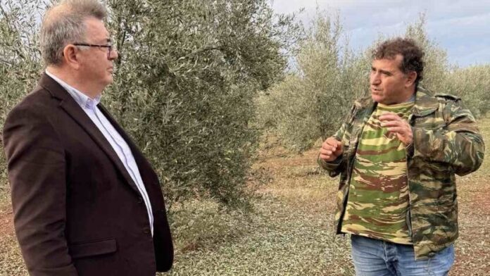 Δ. Κορινθίων: «Να ανακηρυχθεί σε κατάσταση έκτακτης ανάγκης η Δ.Ε. Τενέας»